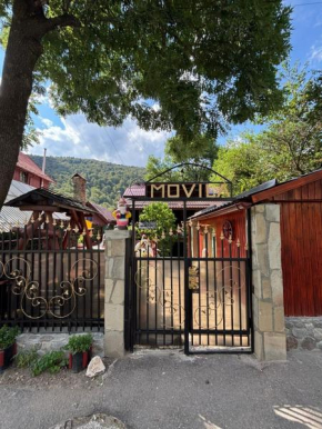Vila Movilă
